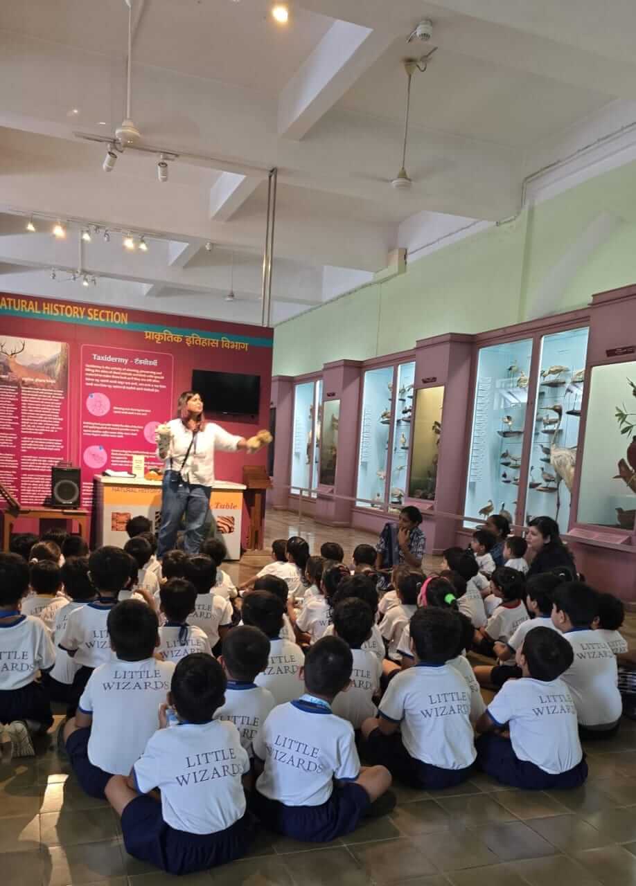 Natural History Muesum